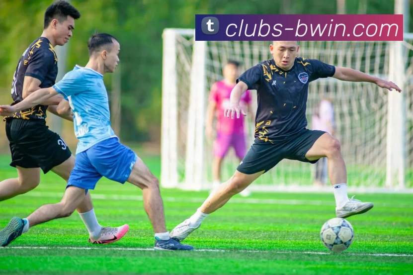 Bwin必赢官网品牌故事