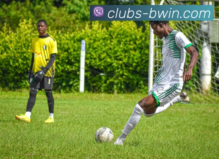 Bwin必赢官网服务体系